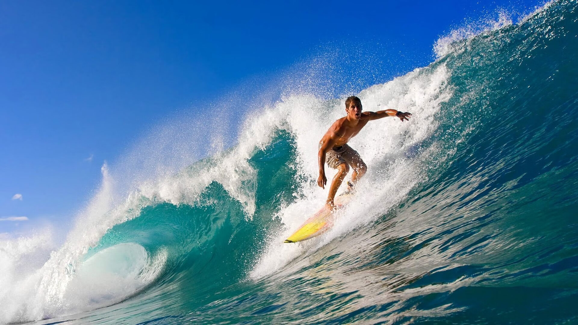 南非羚羊队：进攻的精准传递与防守的全面覆盖让对手难以突破，南非羚羊角